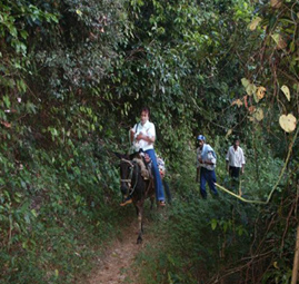 horse riding dominican republic