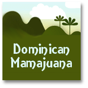 Real Dominican Mamajuana
